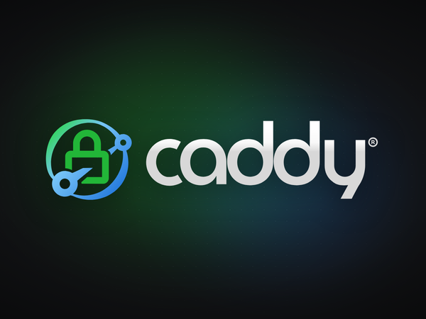 파일 디스크립터가 모자라 끊기던 리버스 프록시, Caddy로 갈아타기 이미지