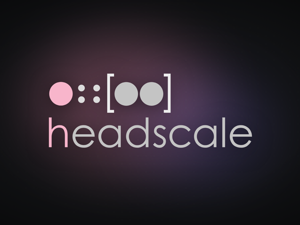 NetBird에서 headscale로 이미지